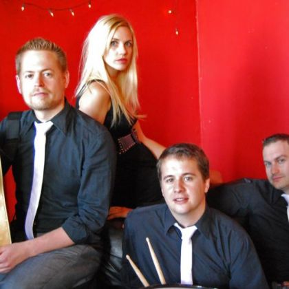 The Perfect Party People